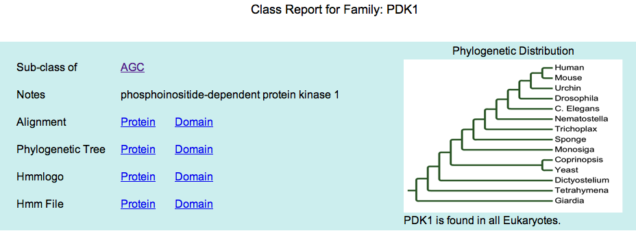 Screenshot of PDK1 family report, highlighting links to logos and HMMs